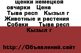 щенки немецкой овчарки › Цена ­ 5 000 - Тыва респ., Кызыл г. Животные и растения » Собаки   . Тыва респ.,Кызыл г.